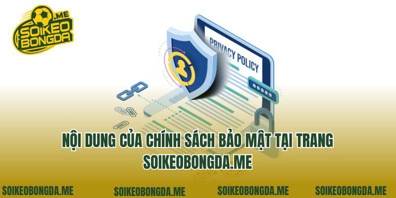 Nội dung của chính sách bảo mật tại trang minifood.tv