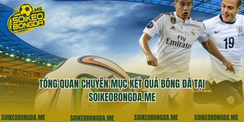 Tổng quan chuyên mục kết quả bóng đá tại minifood.tv