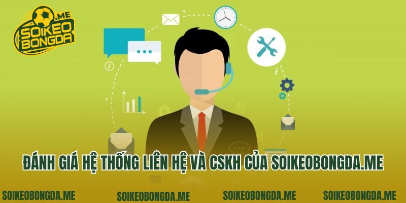 Đánh giá hệ thống liên hệ và CSKH của minifood.tv