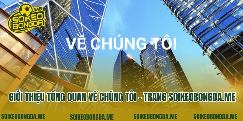 Giới thiệu tổng quan về chúng tôi - trang minifood.tv